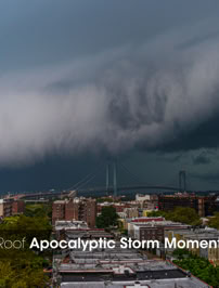 Mike Reiss Photography | ebooks