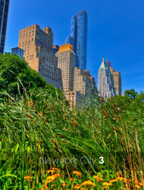 Mike Reiss Photography | ebooks