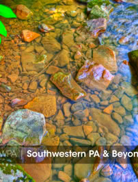 Mike Reiss Photography | ebooks